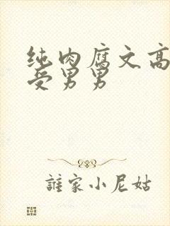纯肉腐文高H总受男男