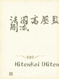 法国高压监狱无删减