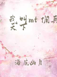 我叫mt 佣兵天下