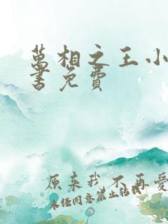 万相之王小说听书免费