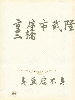 重庆市武隆天生三桥