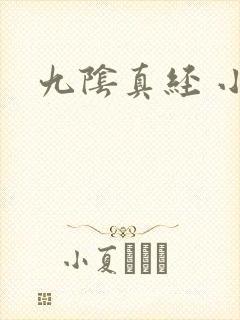 九阴真经 小说