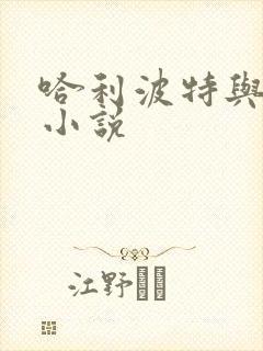 哈利波特与密室小说