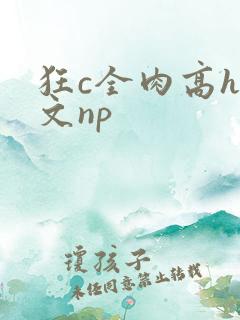 狂c全肉高h辣文np