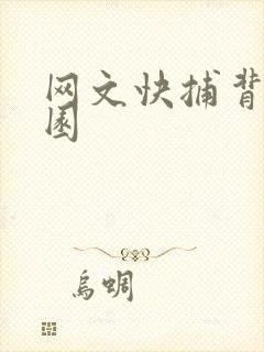 网文快捕背影家园