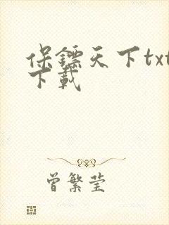 保镖天下txt下载