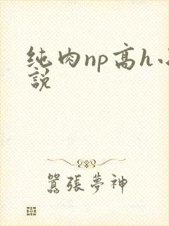 纯肉np高h小说