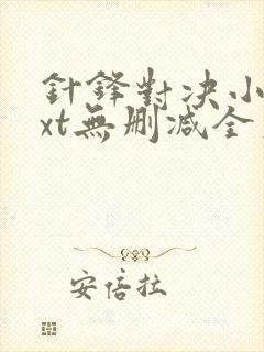 针锋对决小说txt无删减全文