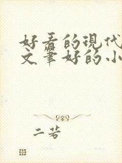 好看的现代言情文笔好的小说