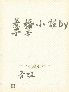 惹婚小说by夜子莘