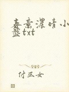 春意浓晴小说网盘txt