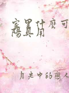 家里什么可以当阳具用