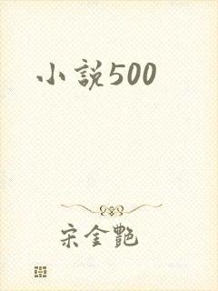 小说500