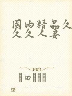 国内精品久久久久久人妻