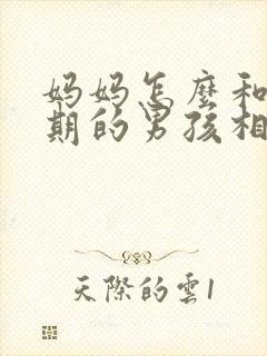 妈妈怎么和叛逆期的男孩相处