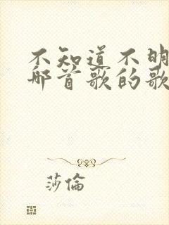 不知道不明了是哪首歌的歌词