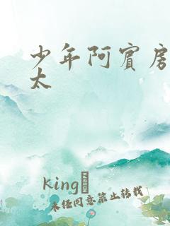 少年阿宾房东太太