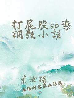 打屁股sp惩罚调教小说