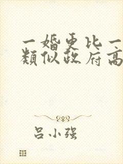 一婚更比一婚高类似政府高干