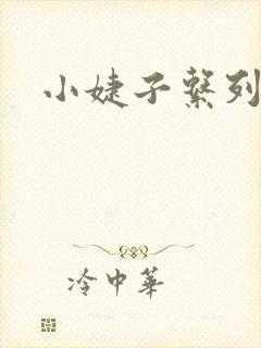 小婕子系列小说
