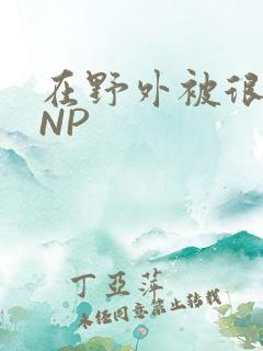 在野外被很多人NP