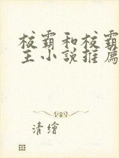 校霸和校霸双男主小说推荐