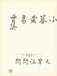 贾易黄蓉小说合集