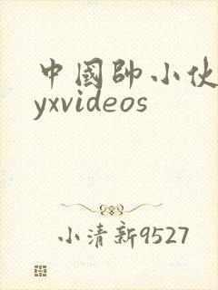 中国帅小伙gayxvideos