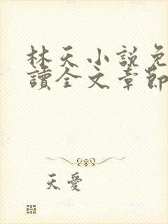 林天小说免费阅读全文章节