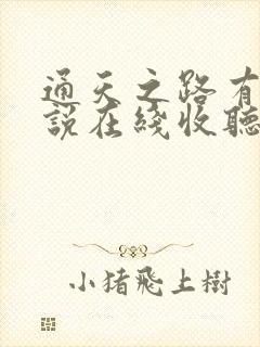 通天之路有声小说在线收听