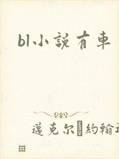 bl小说有车