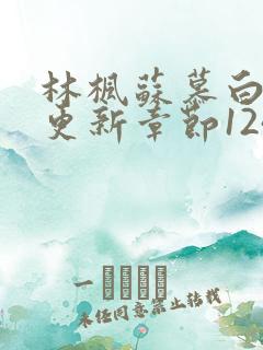 林枫苏慕白最快更新章节1247