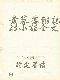 黄蓉落难记1—23小说全文