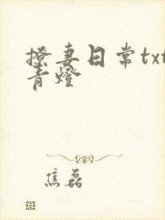 撩妻日常txt青灯