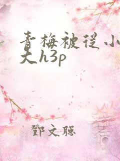 青梅被从小摸到大h3p
