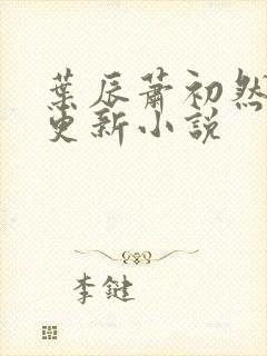 叶辰萧初然最新更新小说