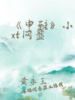 《申雅》小说txt网盘