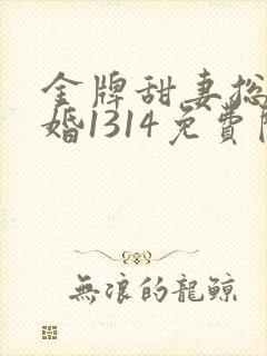 金牌甜妻总裁宠婚1314免费阅读