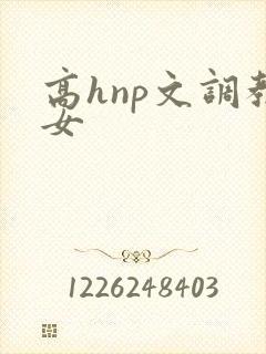 高hnp文调教女