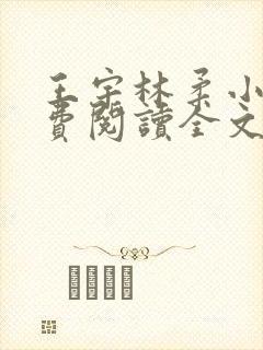 王宇林柔小说免费阅读全文最新章节