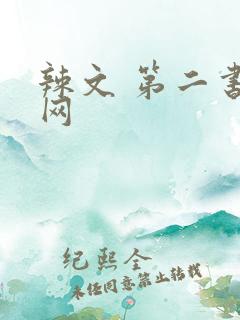 辣文 第二书包网
