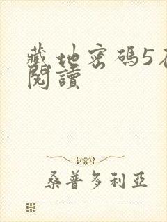 藏地密码5在线阅读