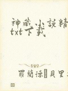 神藏小说精校版txt下载