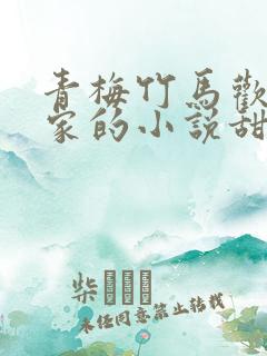 青梅竹马欢喜冤家的小说甜宠文