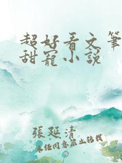 超好看文笔好的甜宠小说