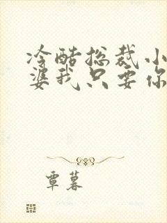 冷酷总裁小小老婆我只要你