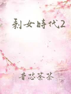 剩女时代2