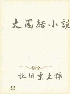 大团结小说全文