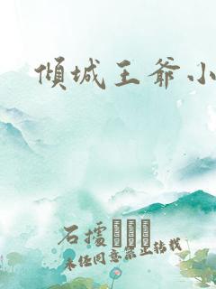 倾城王爷小小妃