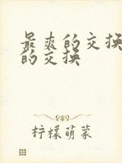 最爽的交换疯狂的交换